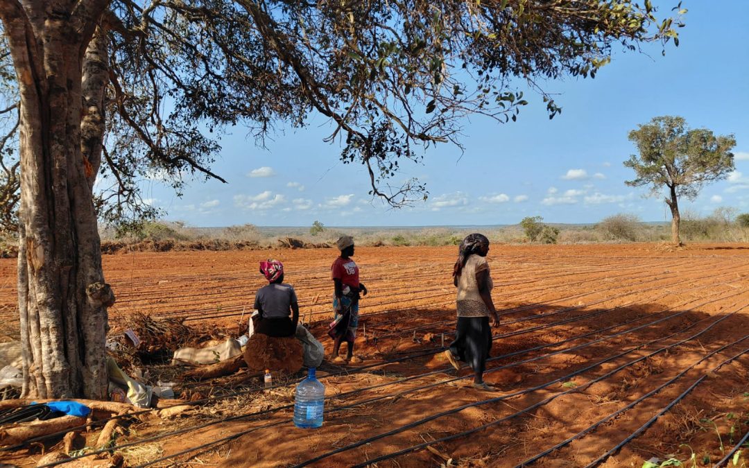 Proyecto agrícola y de abastecimiento de agua