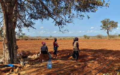 Proyecto agrícola y de abastecimiento de agua
