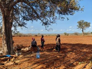 Seguridad alimentaria y empoderamiento en Kilulu, Kenia